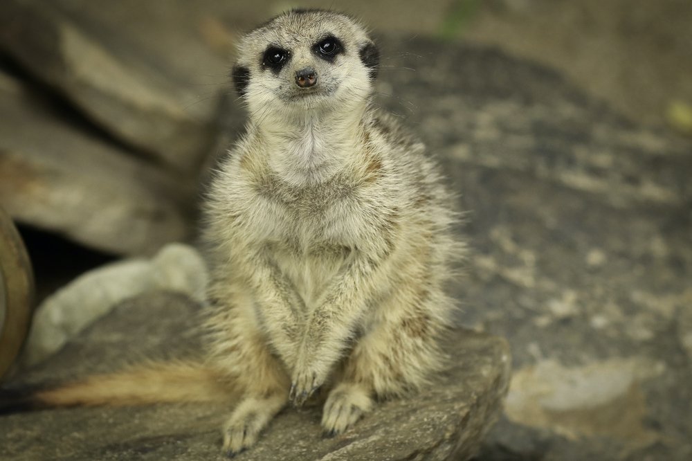 Photograph by Наталья Викарчук