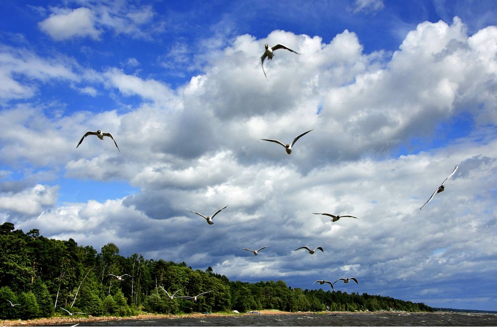 Photograph by Игорь Овсиенко