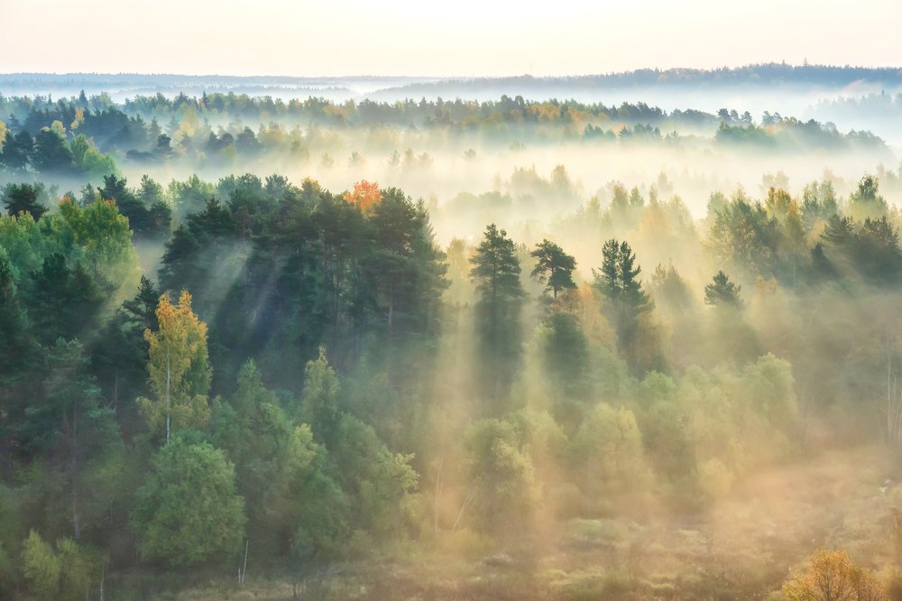 Умывание солнечным светом