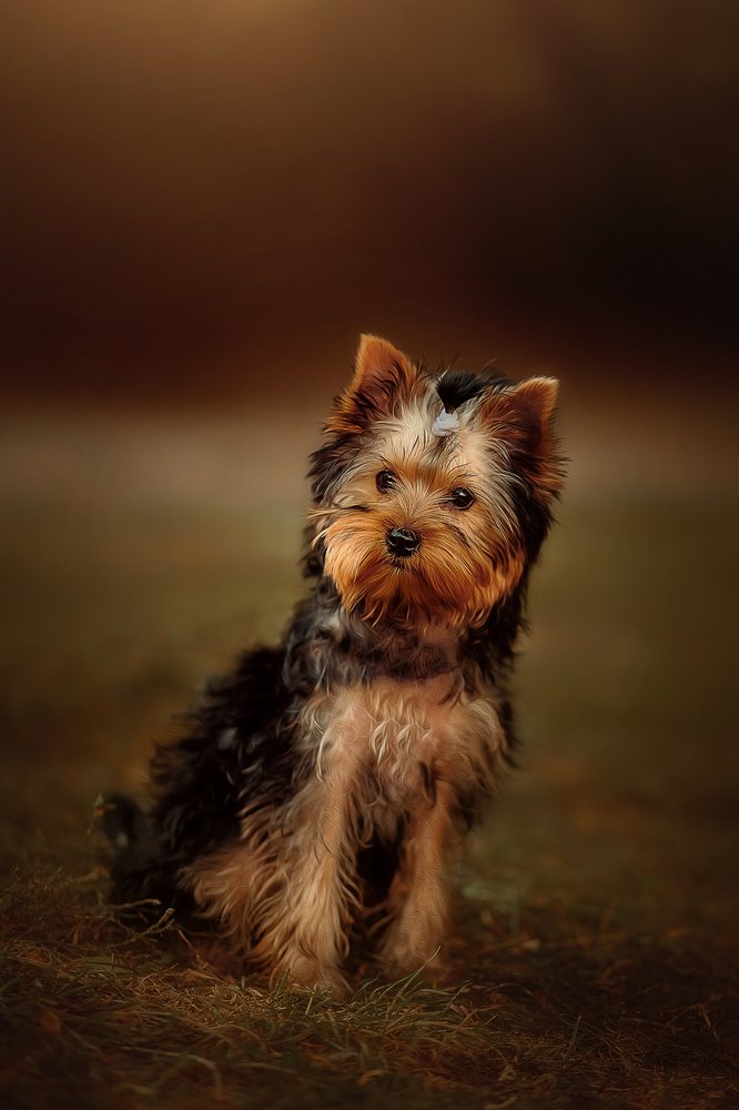 Photograph by Иванна Войт