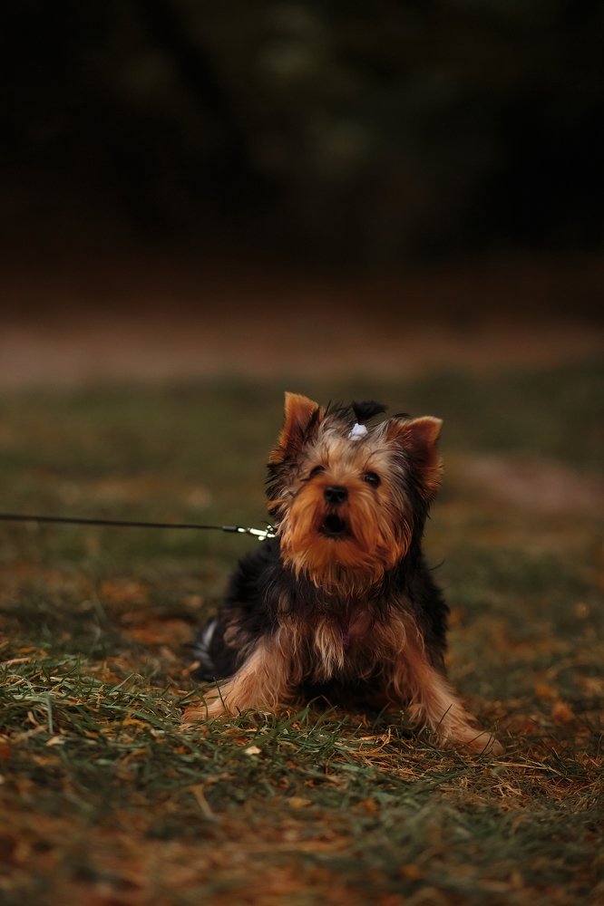 Photograph by Иванна Войт