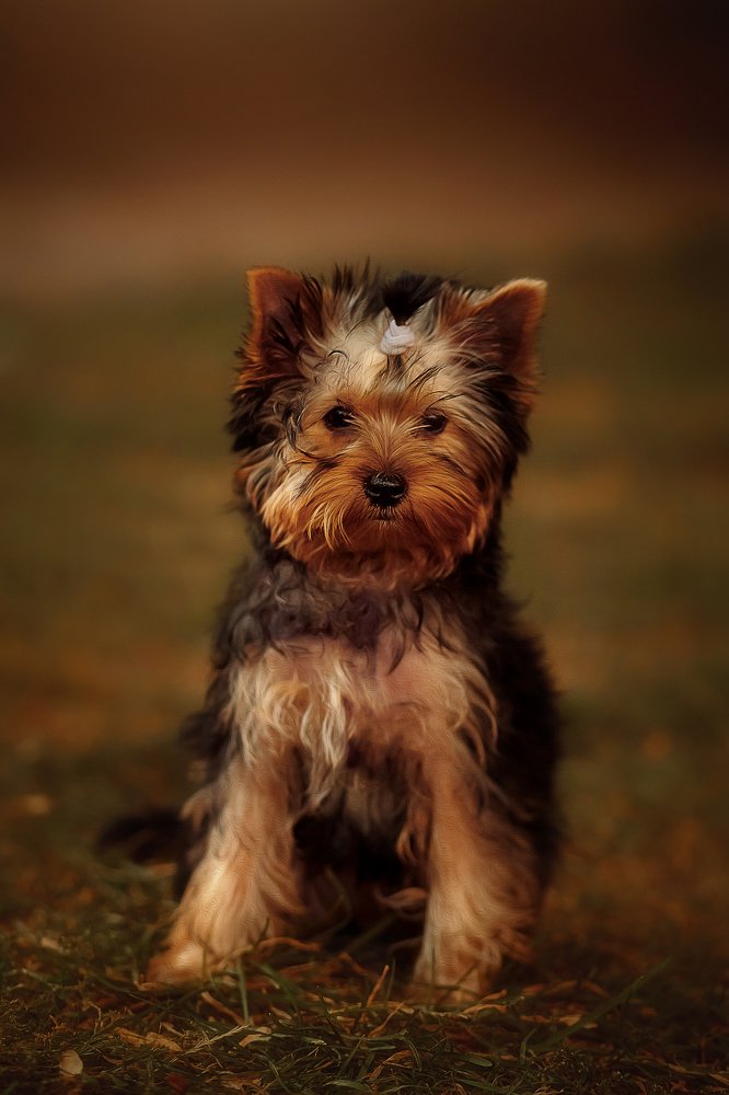 Photograph by Иванна Войт