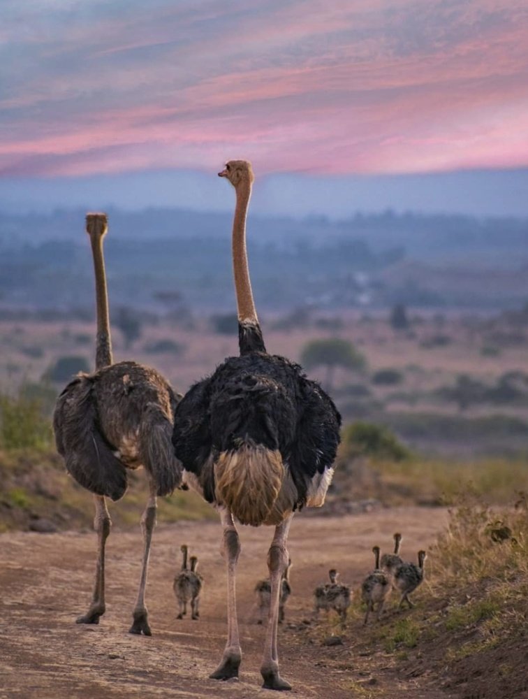 Photograph by Hitesh Kerai