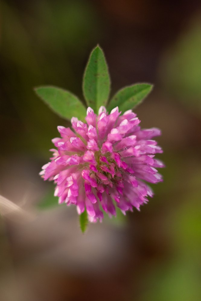 Фотография автора Ольга Галушкина