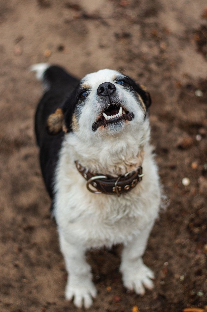 Фотография автора Ольга Галушкина