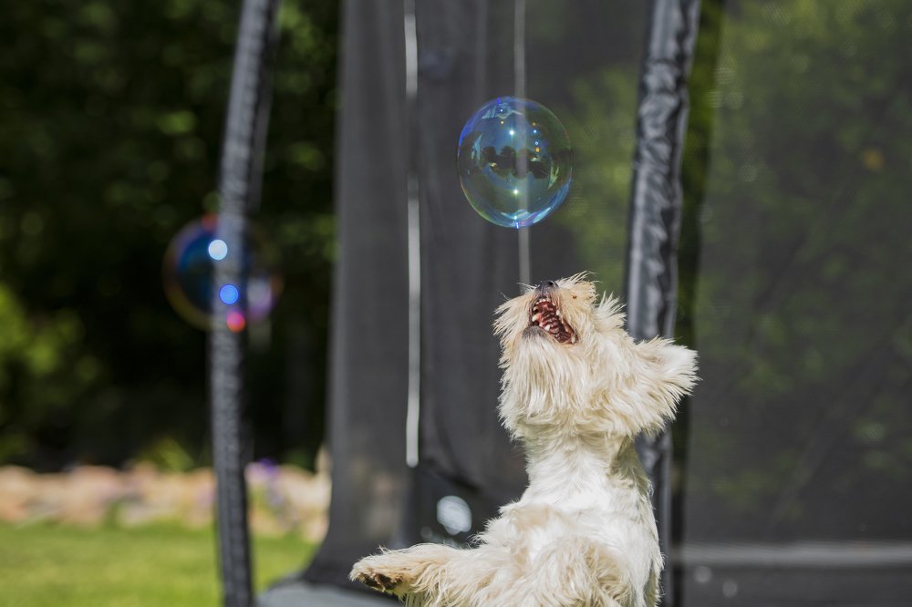 Photograph by Ernestas Balcikonis