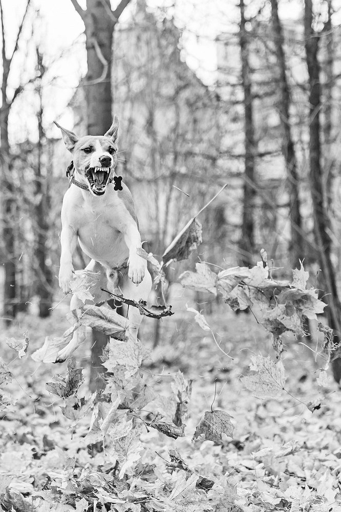 Photograph by Ольга Мурзина