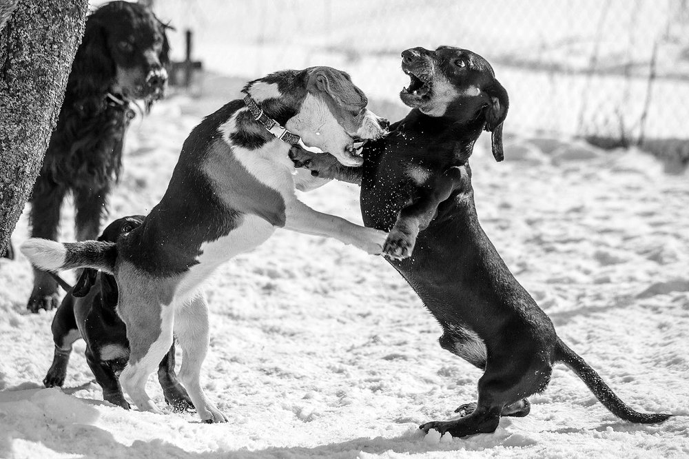 Photograph by Ольга Мурзина