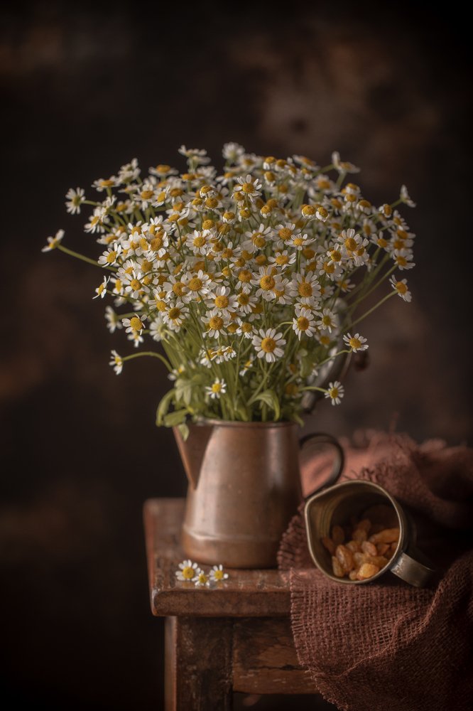 Фотография автора Мария Сурмачева