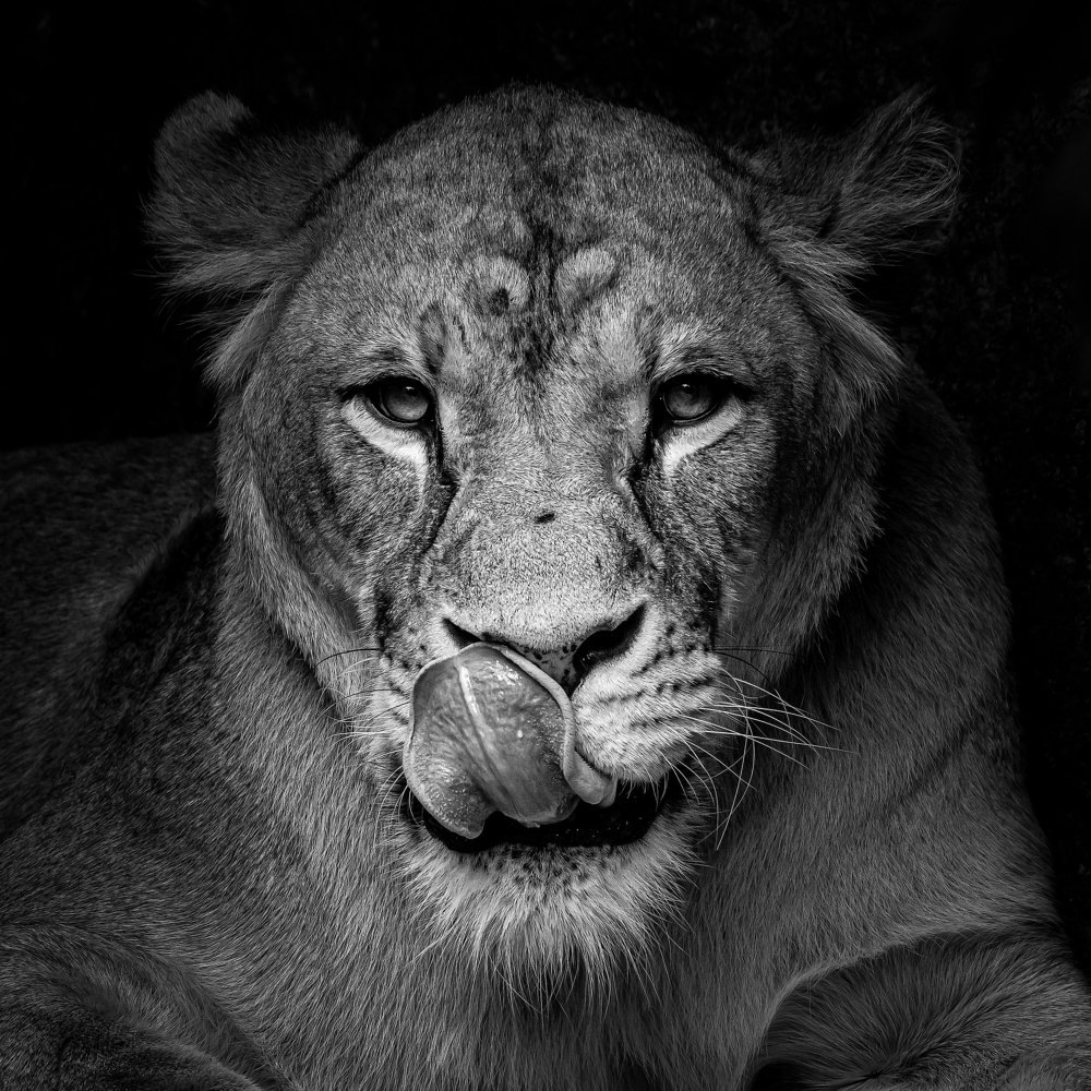 Photograph by Jan Molinsky