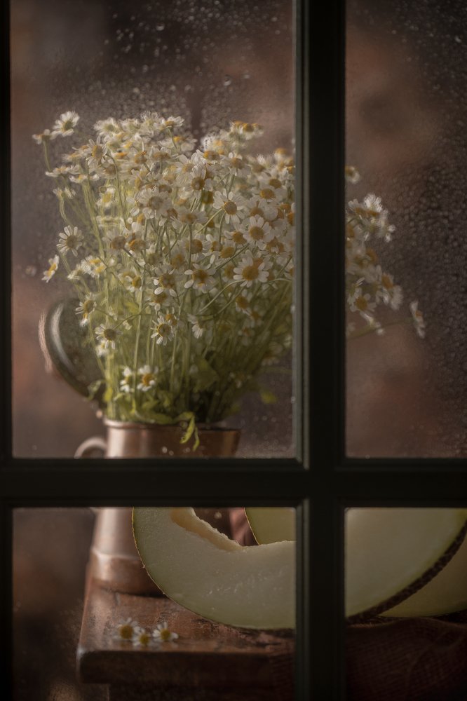 Фотография автора Мария Сурмачева