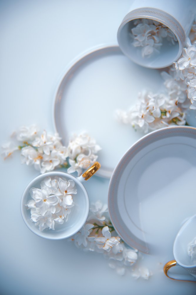 Photograph by Юлия Осипенко