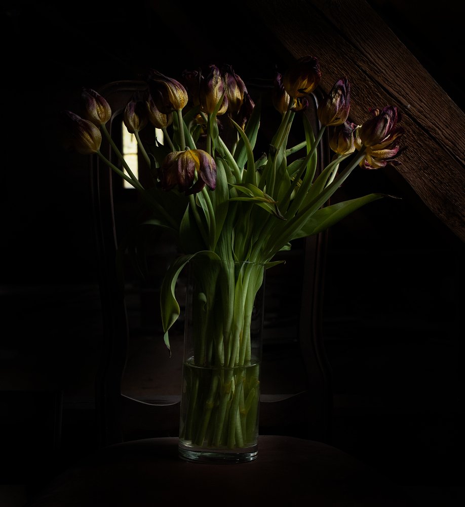 Photograph by Anastasia Strekalovski