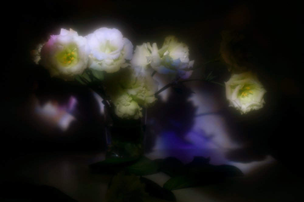 Photograph by Irina Lutsenko