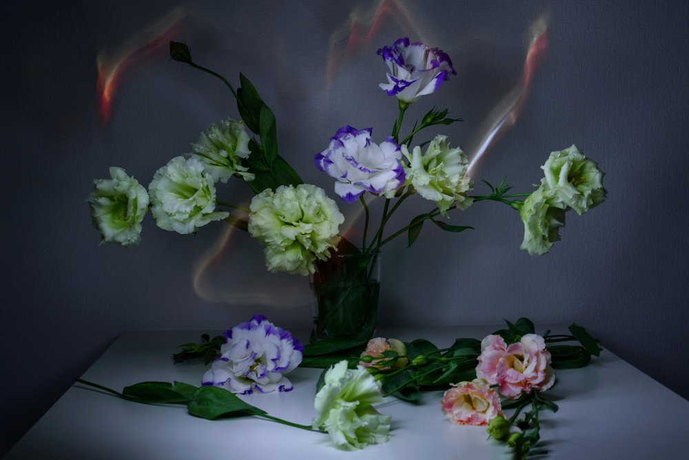 Photograph by Irina Lutsenko