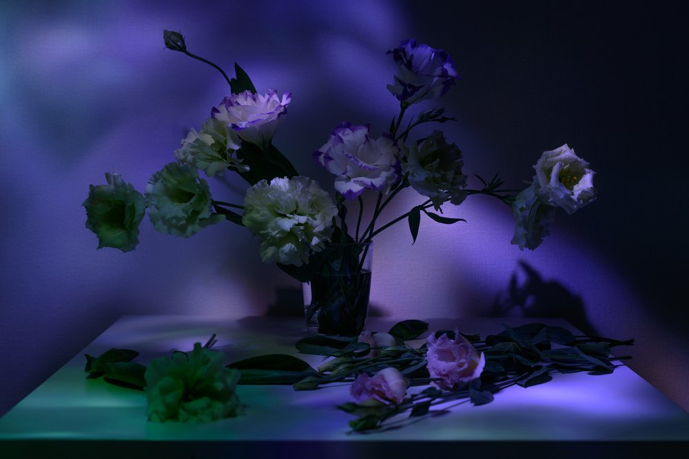 Photograph by Irina Lutsenko