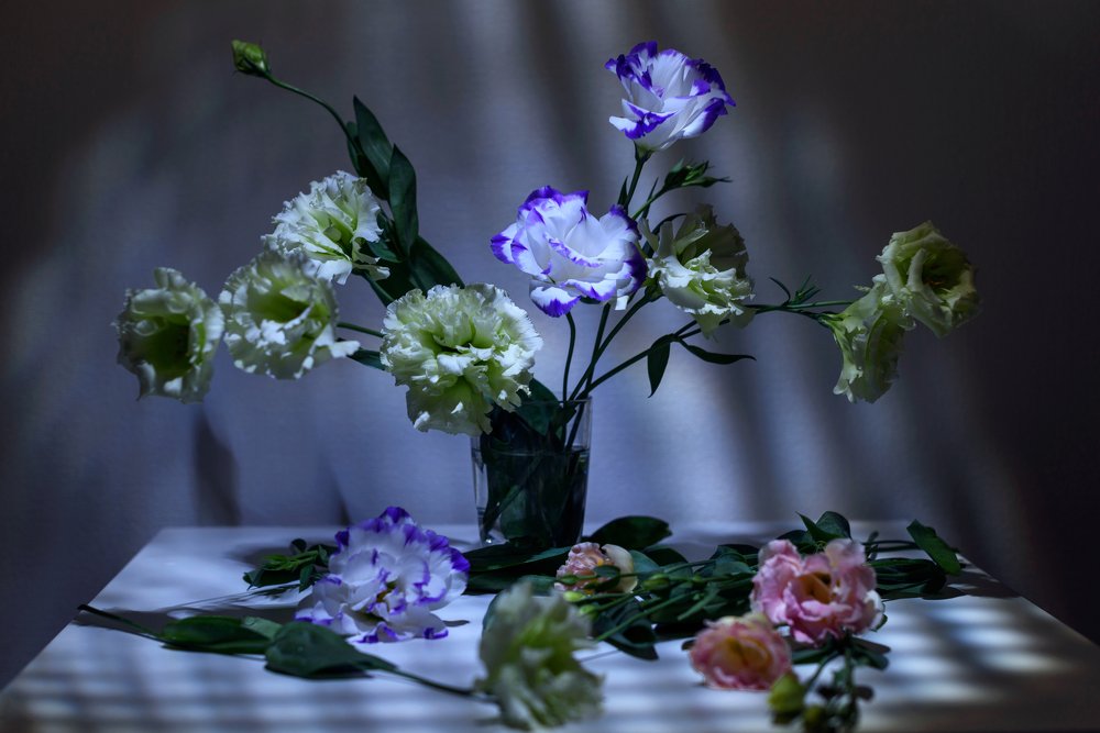 Photograph by Irina Lutsenko