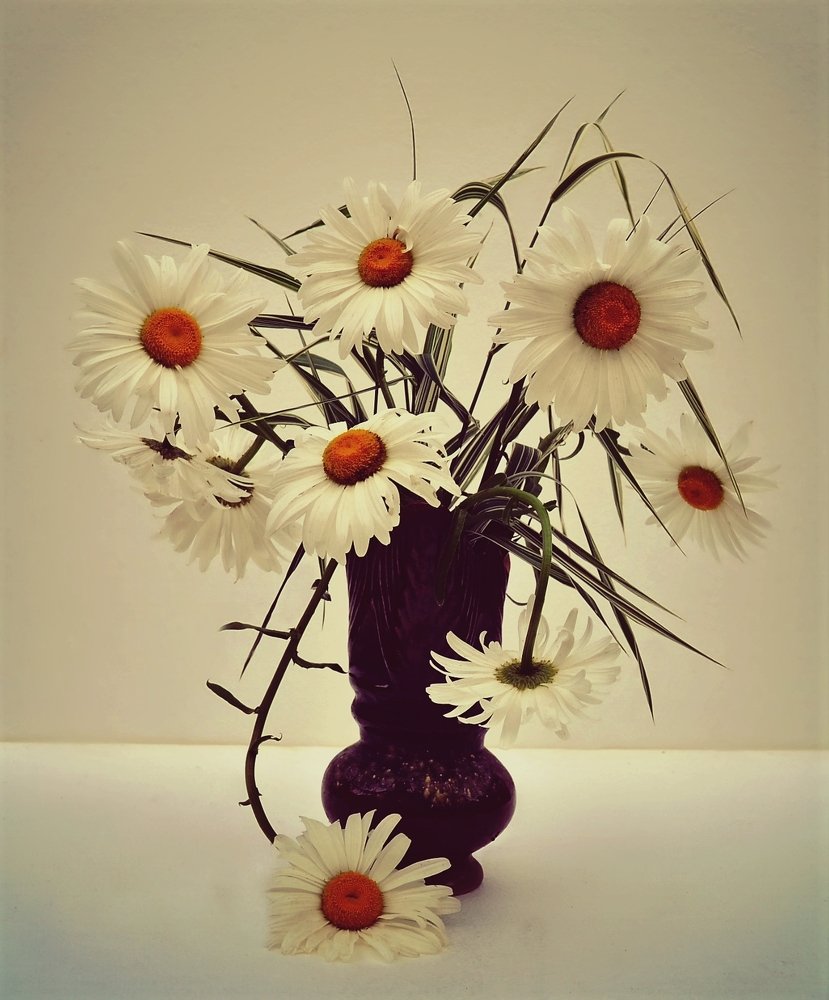 Photograph by Татьяна Рябова