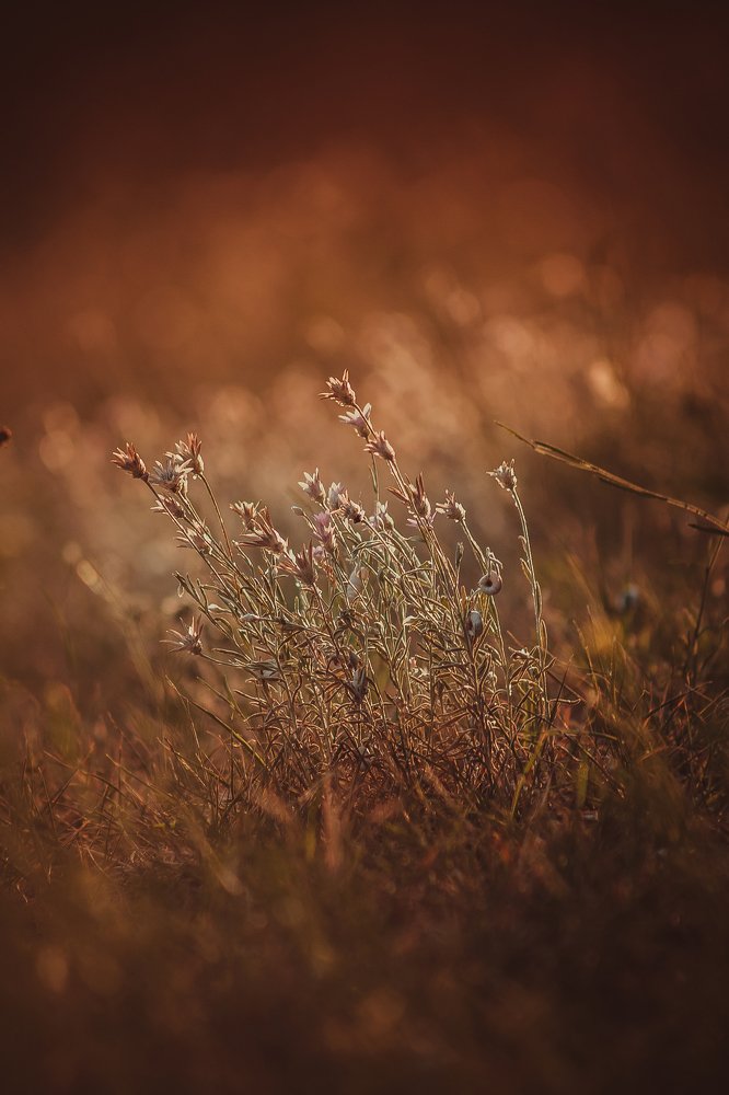 Photograph by Инга Сорокина