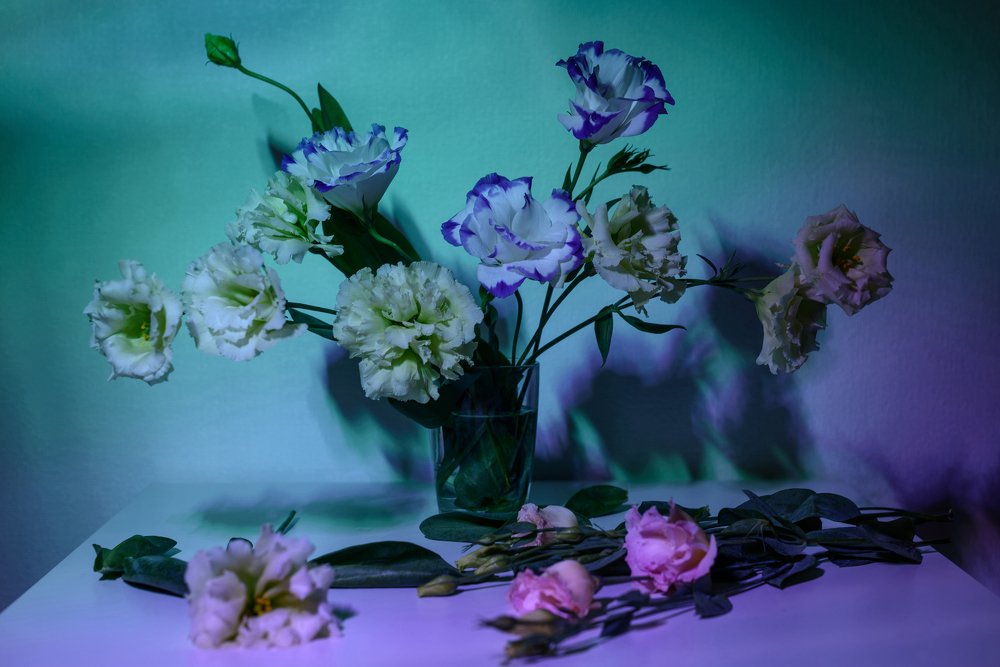 Photograph by Irina Lutsenko