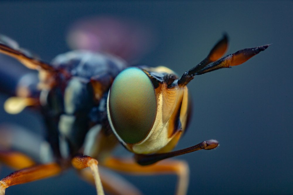 Photograph by Иван Радьков