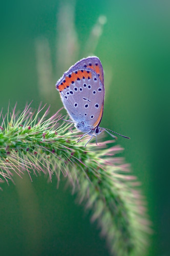 Photograph by Иван Радьков