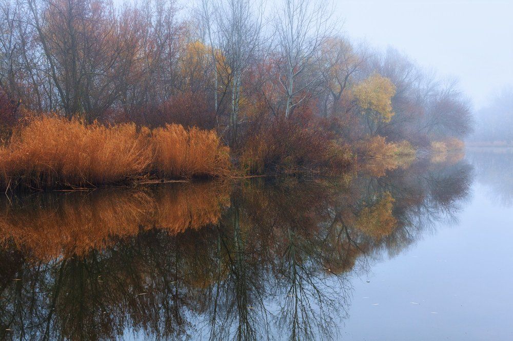 Photograph by Марина Кожевникова