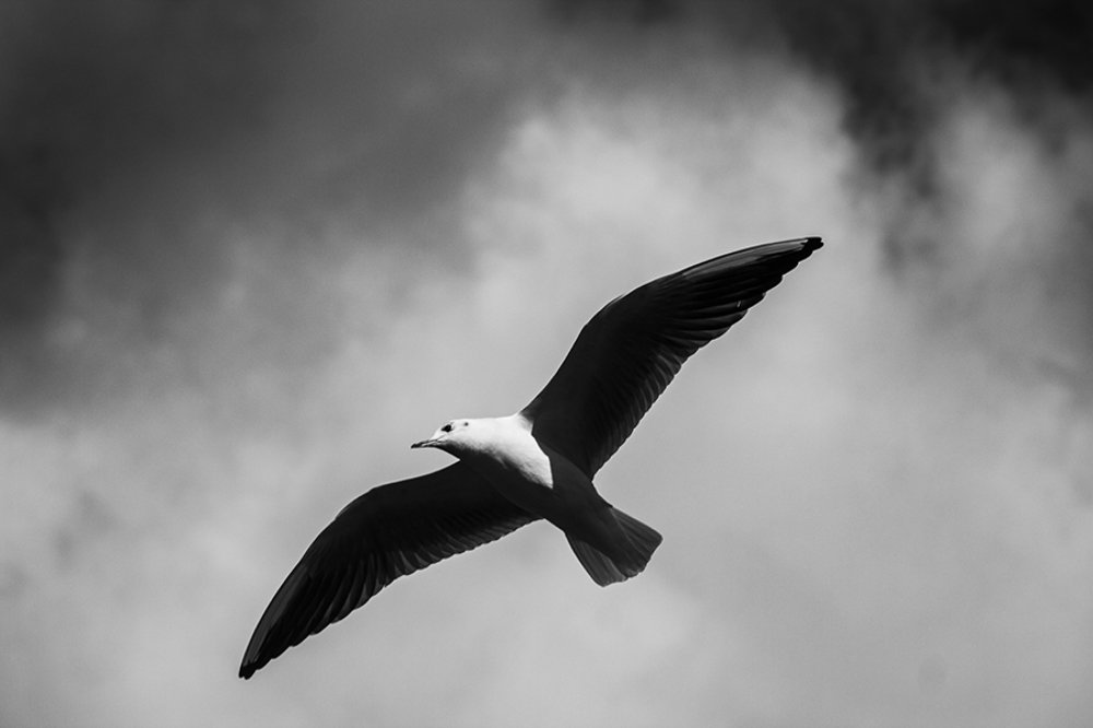 Photograph by Elena Khalizova