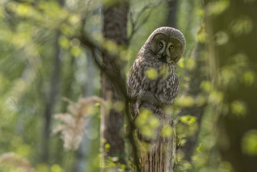 Photograph by Dariusz Dryl