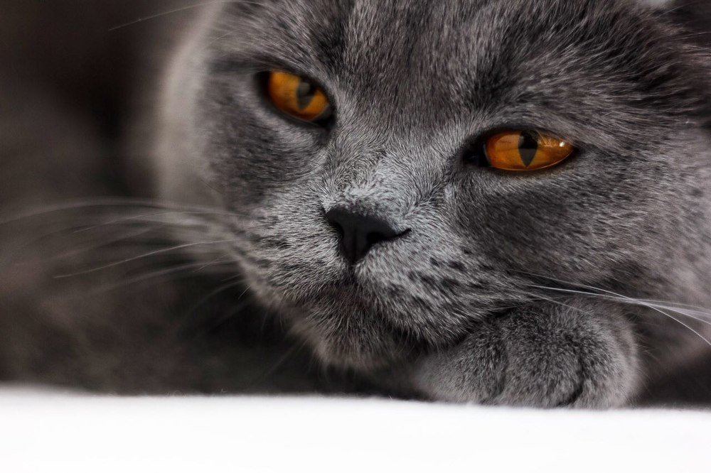 Photograph by Юлия Голубкова