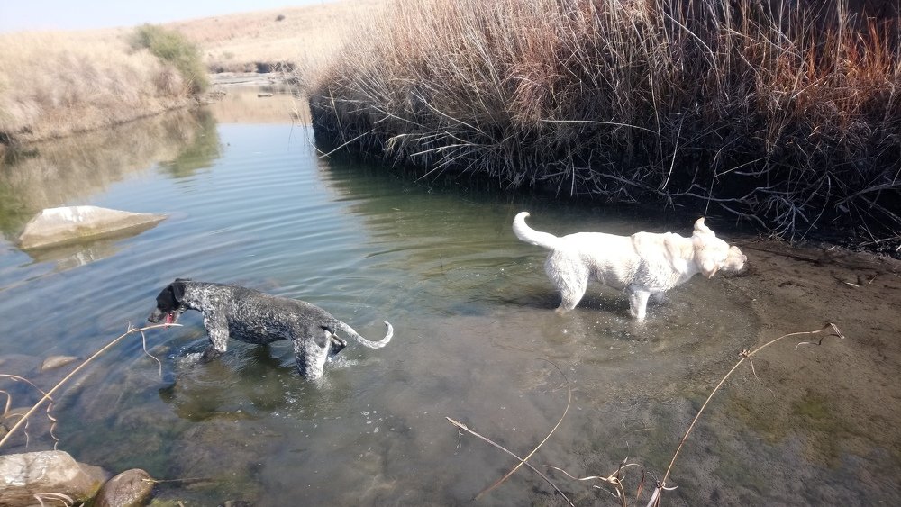 Photograph by Carina Ellis