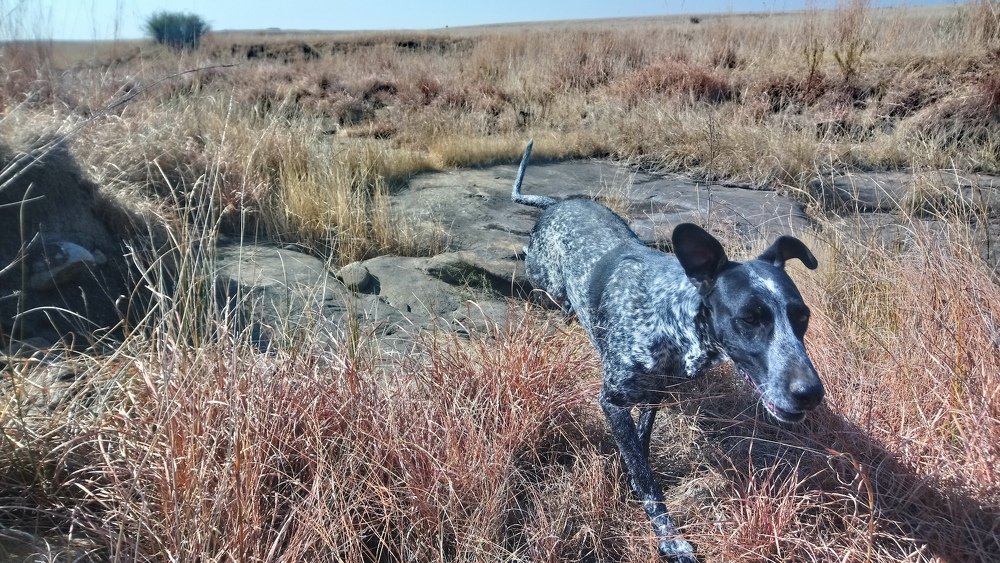 Photograph by Carina Ellis