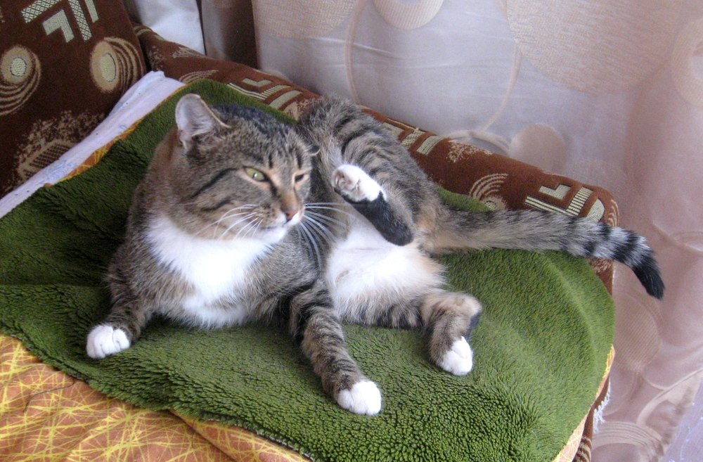 Photograph by Pavel Palkin