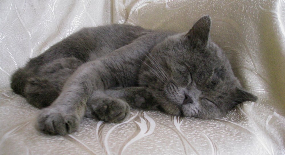 Photograph by Pavel Palkin