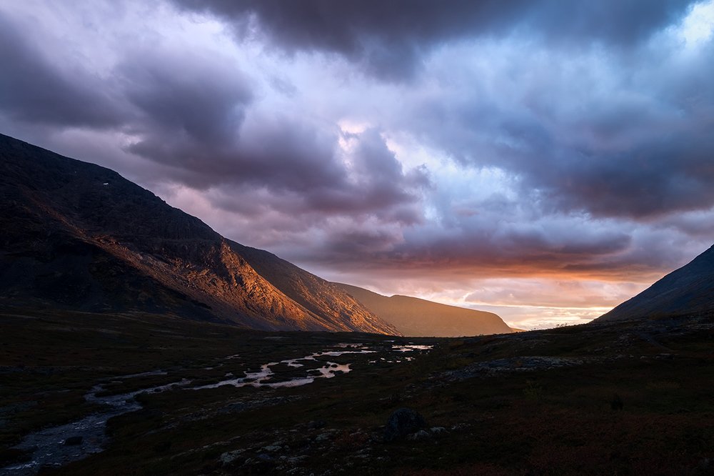 Бегущие за светом