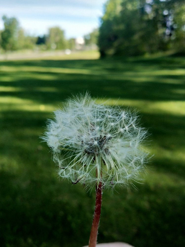Photo #4997765