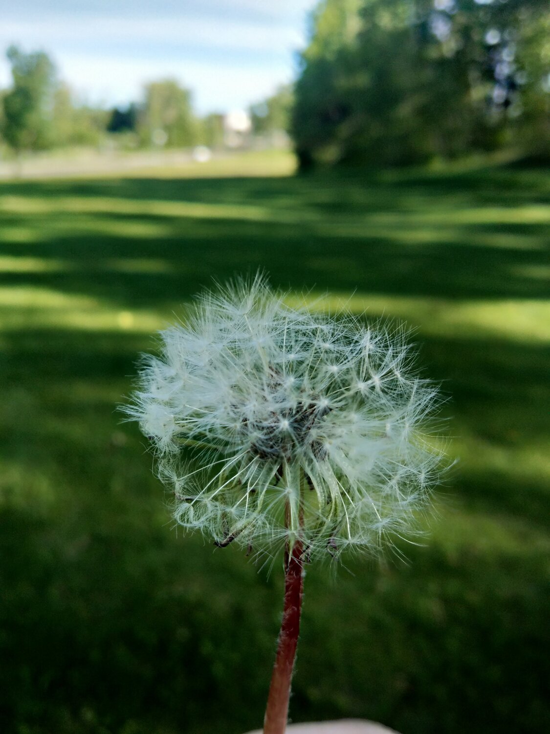 Photo #4997765