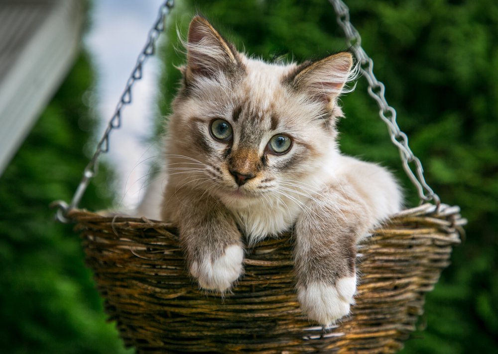 Photograph by Алекс Римский