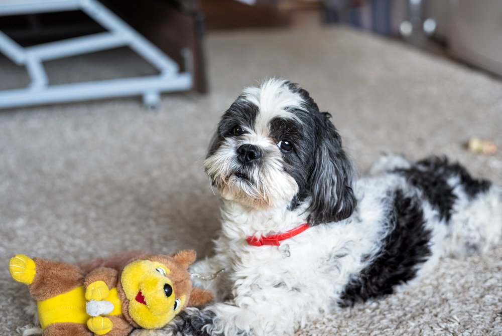 Photograph by Дмитрий Крючков