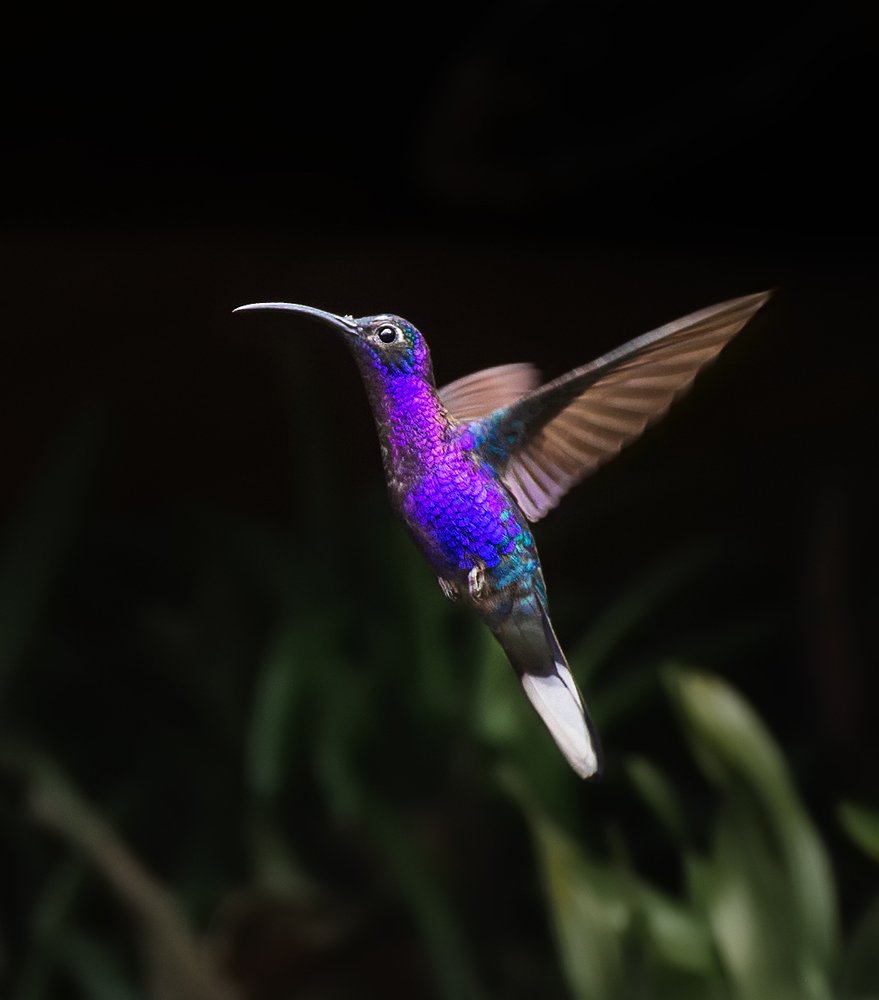 Photograph by Iris Lara