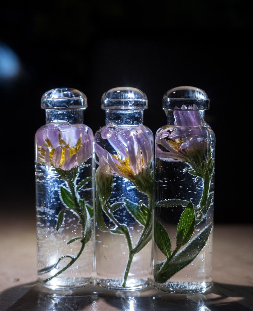 Фотография автора Римма Савина