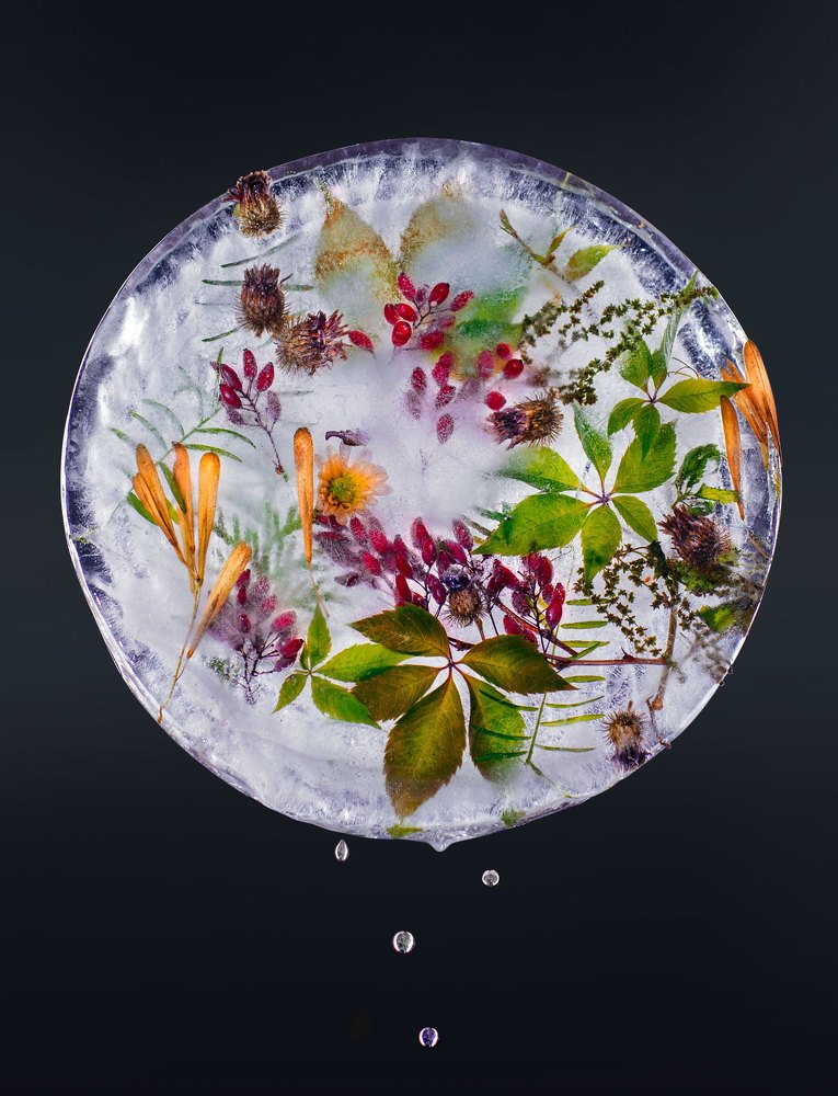 Photograph by Александра Крутова