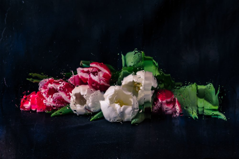 Photograph by MAXIM BONDAREV