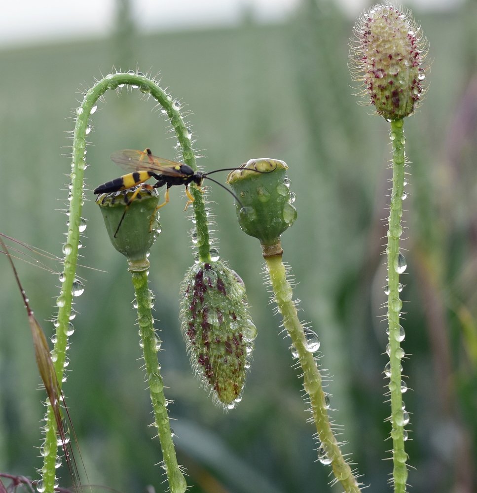 Photograph by Vitalii Kaznin