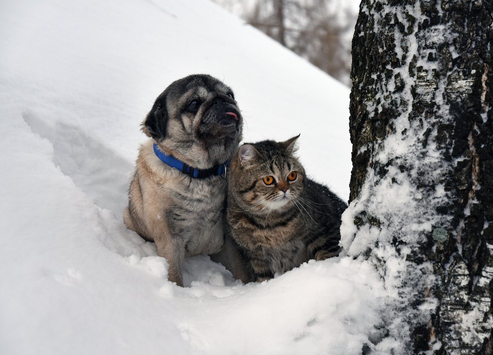 Photograph by Татьяна Спицына