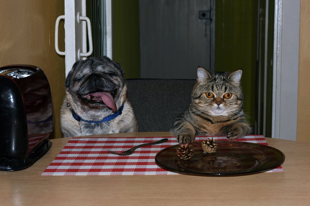 Photograph by Татьяна Спицына