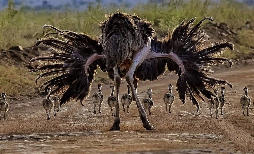 Photograph by Hitesh Kerai