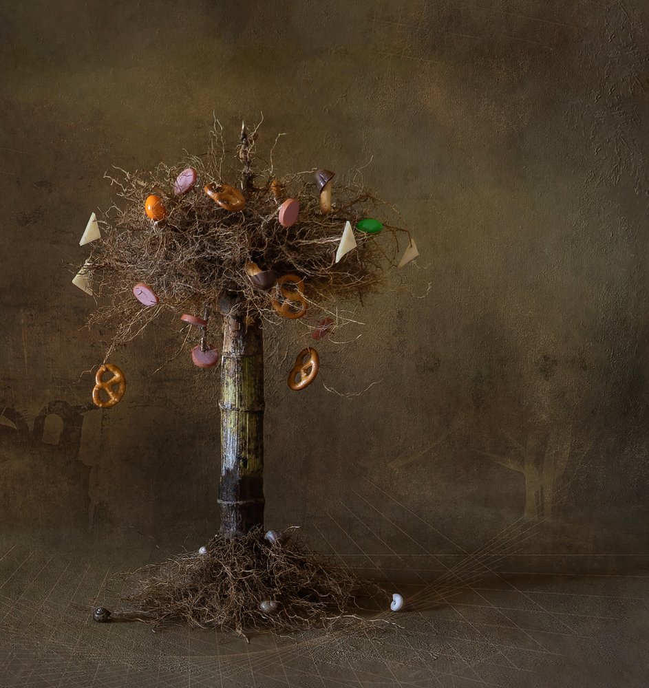 Дерево из страны абсурда.