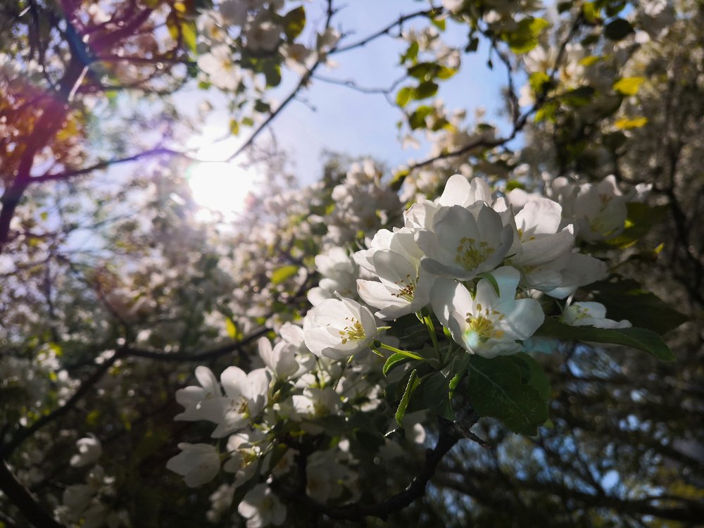Photograph by Елена Панькова