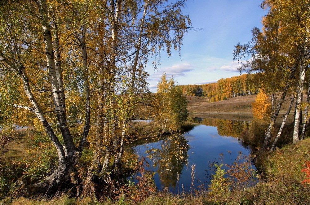 Photograph by савельев евгений